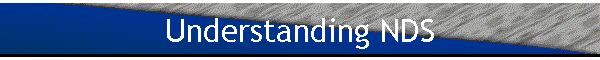 Understanding NDS