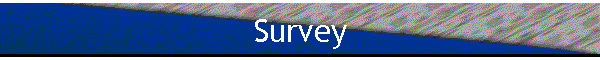 Survey