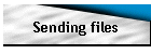 Sending files