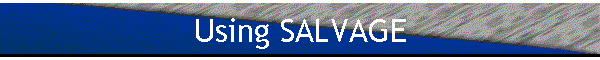 Using SALVAGE